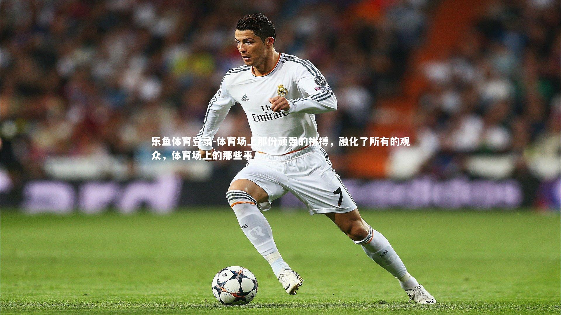 体育场上那份顽强的拼搏,融化了所有的观众,体育场上的那些事